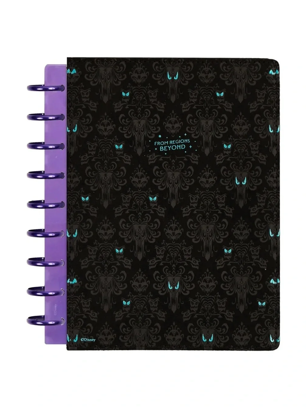 Happy Planner Haunted Mansion Deluxe Undated Classic Dashboard Planner